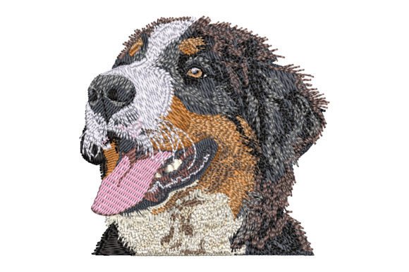 Bernese Mountain Dog Embroidery Design